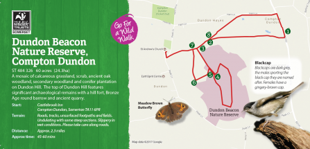 dundon beacon grassland somerton